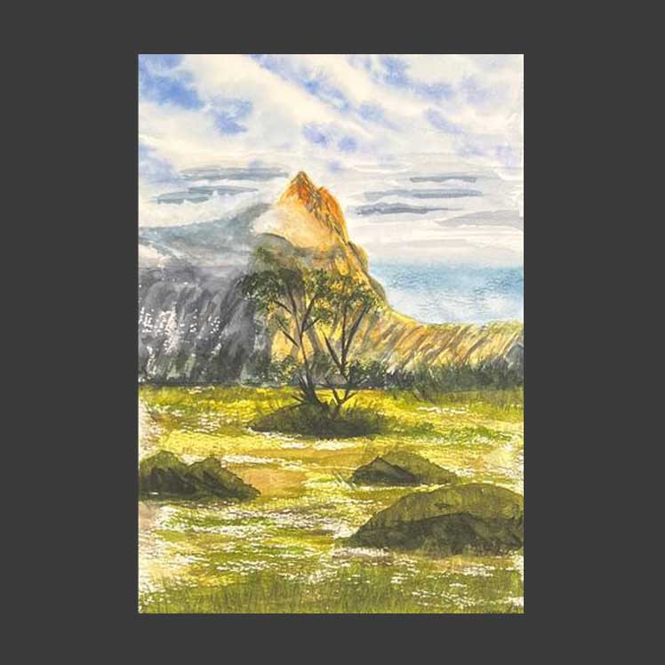 Деревья на поле