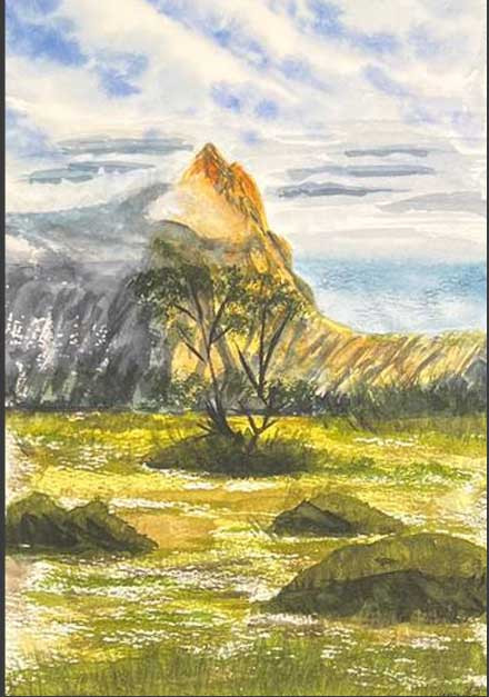 Деревья на поле