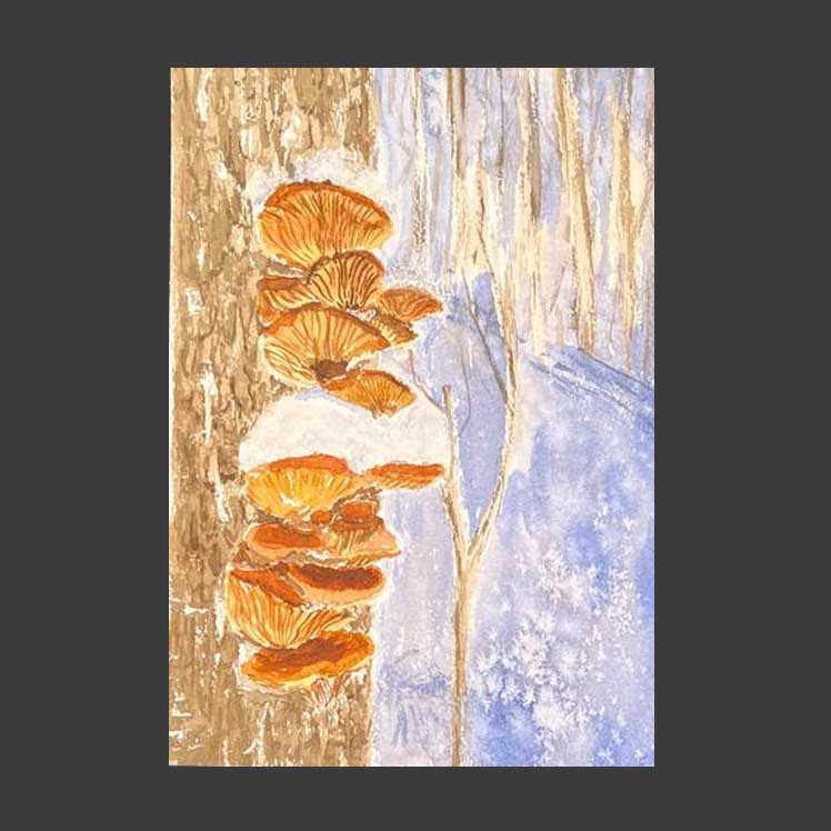 Грибы под снегом