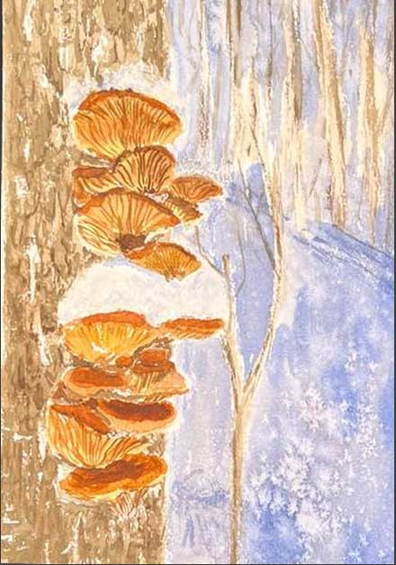 Грибы под снегом