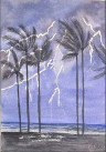 Palmeras y tormenta