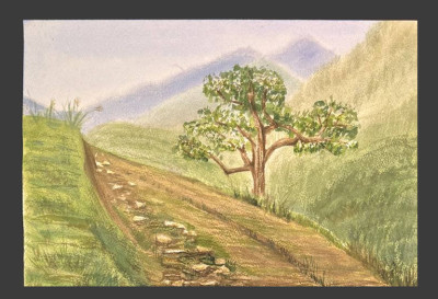 The road in the mountains