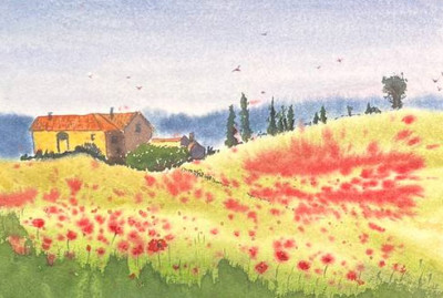 A house among poppies