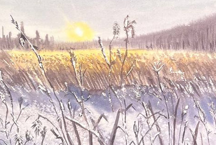 Закат в поле