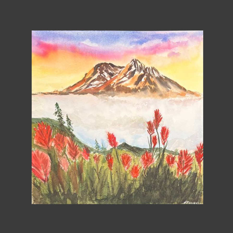 Poppy fields and mountains