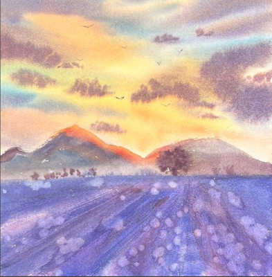 Sunset in lavender fields