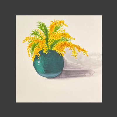 Mimosa in a vase