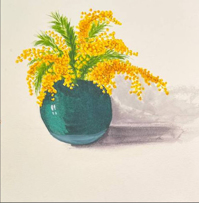 Mimosa in a vase