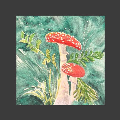 Fly agaric