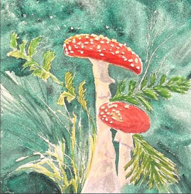 Fly agaric