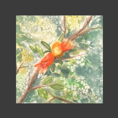 Blooming pomegranate