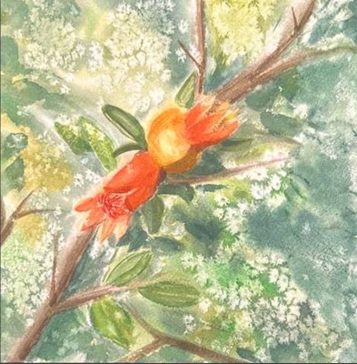 Blooming pomegranate