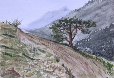 Sendero en las montañas