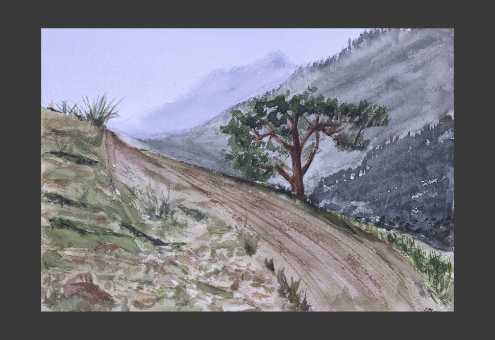 Sendero en las montañas